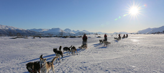 Die besten Outdoor Aktivitäten in Norwegen