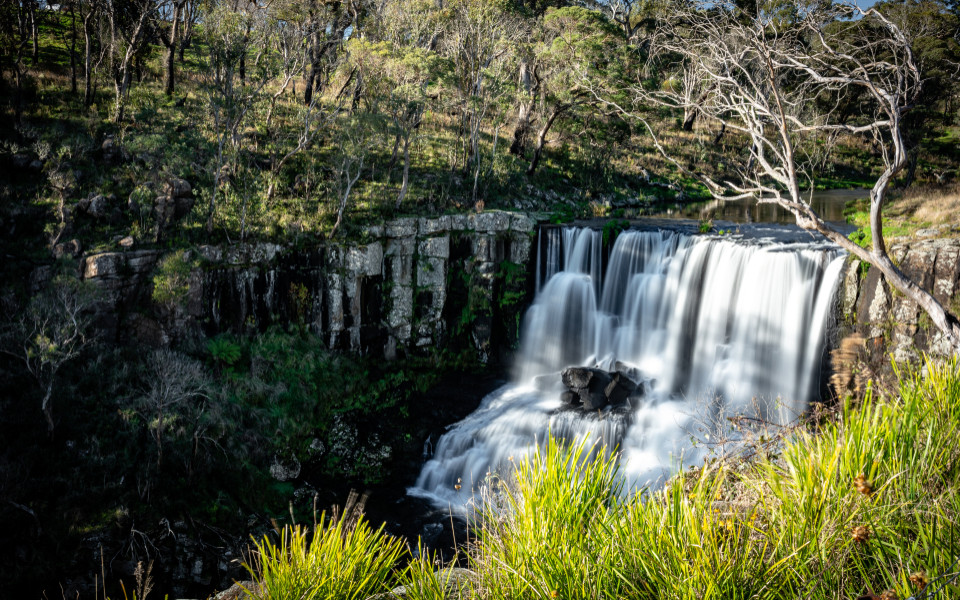 Ebor Falls in Ebor in Australien