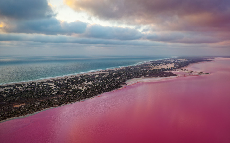 Pink Lake in Port Gregory in Westaustralien, gefärbtes Wasser durch Bakterien und Algen, schöner Kontrast zwischen dem blauen Ozean und rosa Wasser.
