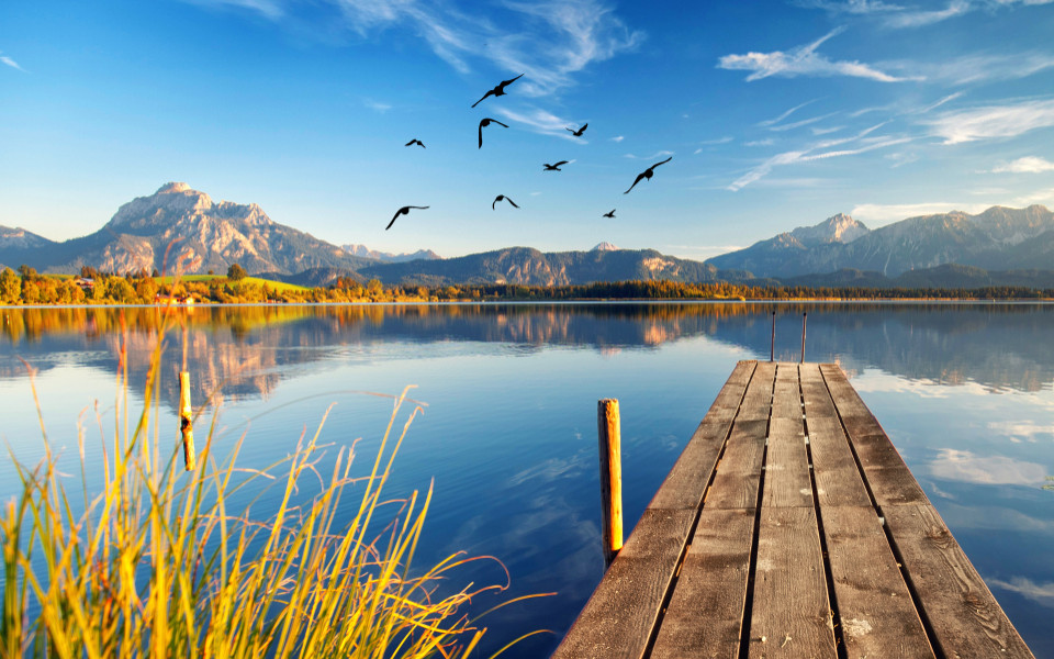 Steg am See mit Bergkulisse im Hintergrund und Vögel 