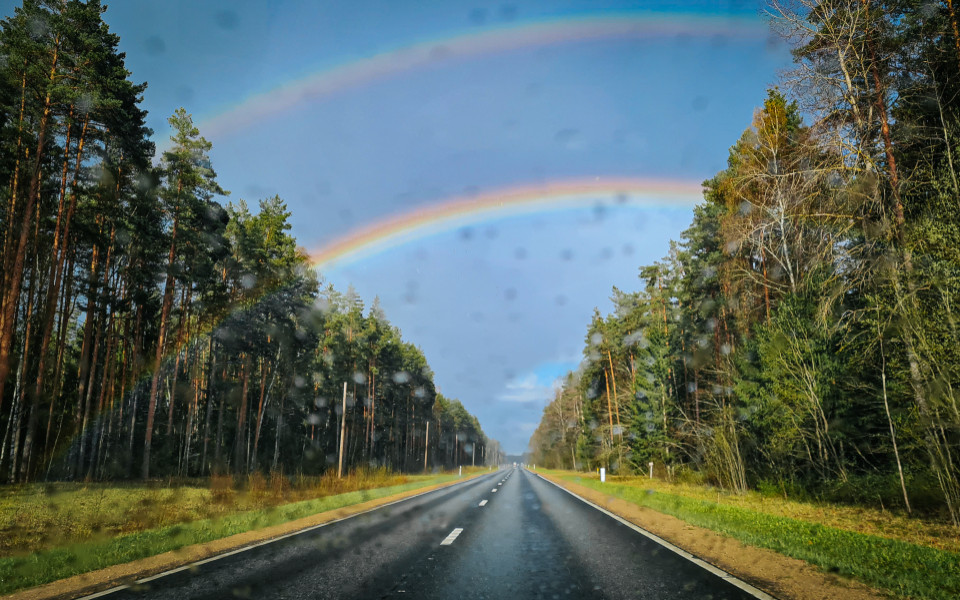 Verregnete Straße in Nordirland mit Regenbogen und Wald